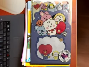 VARIOS POSIT BT21 TATA